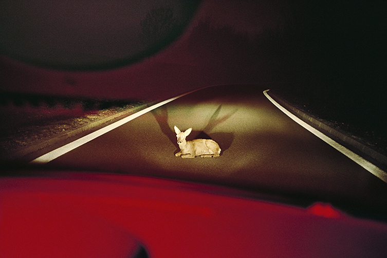 http://julienmagre.fr/files/gimgs/101_scan-biche-def-def-hd_v2.jpg