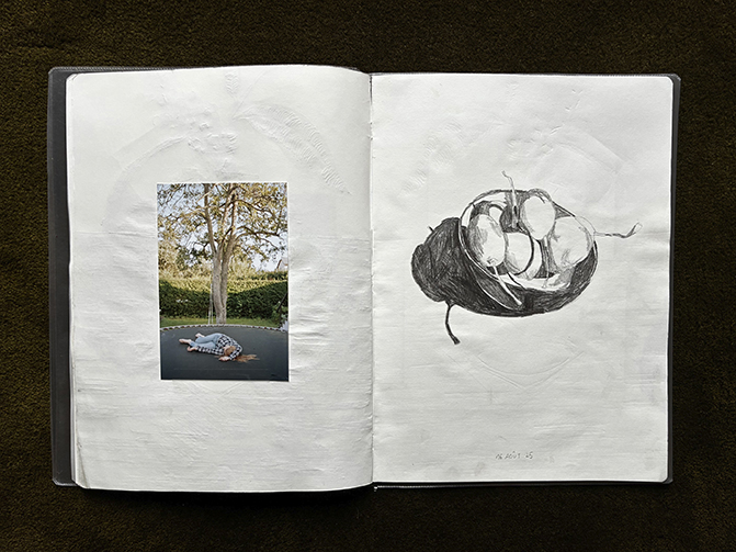 http://julienmagre.fr/files/gimgs/103_img2573.jpg