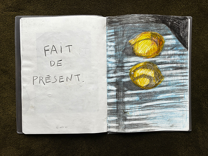 http://julienmagre.fr/files/gimgs/103_img2575.jpg