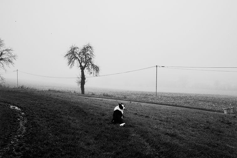 http://julienmagre.fr/files/gimgs/109_l1021596.jpg