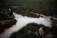 14_cinema-200.jpg