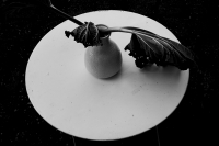 14_l1007518.jpg